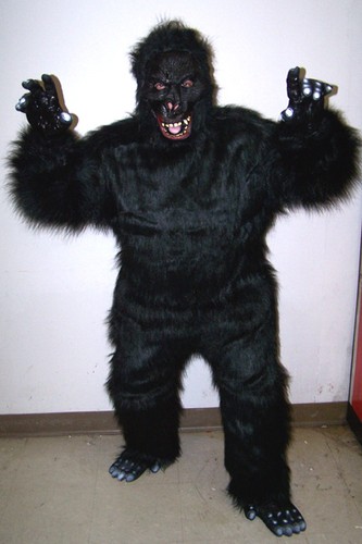 Expert wild gorilla - wild,