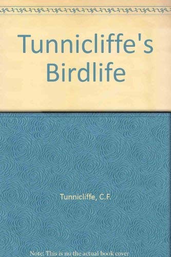 Tunnicliffe birdlife by - birdlife,