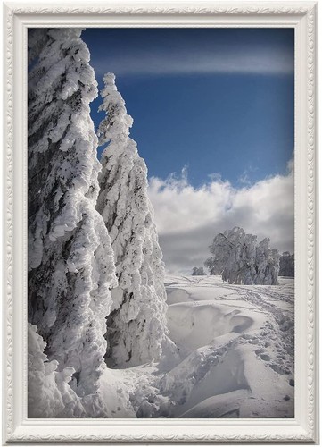 Large thin white photo - 2x,