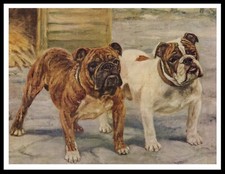 BULLDOG TWO DOGS VINTAGE STYLE