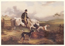 GREYHOUND COURSING HORSE DOG