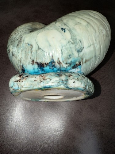 Conch shell vase - conch, planter