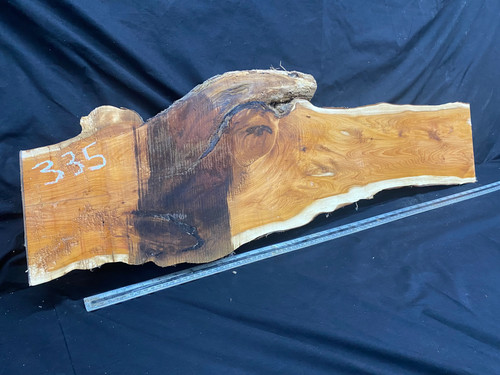 Hardwood yew slab - yew,, slab,