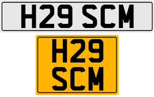 H29 SCM SAM SUE SAL STU SCOT