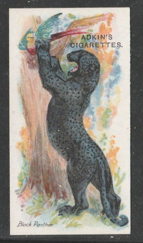 Adkin wild animals - wild, of