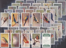 GALLAHER-FULL SET- ZOO TROPICAL BIRDS 1929 (2ND SERIES 50 CARDS) EXCELLENT