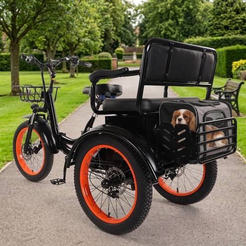 Electric tricycle adult family - electric,