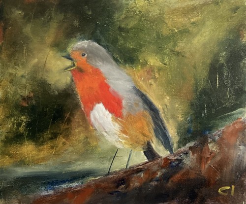 Robin original oil painting - robin,
