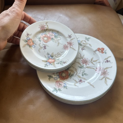 Plates wedgewood philippa - plates,