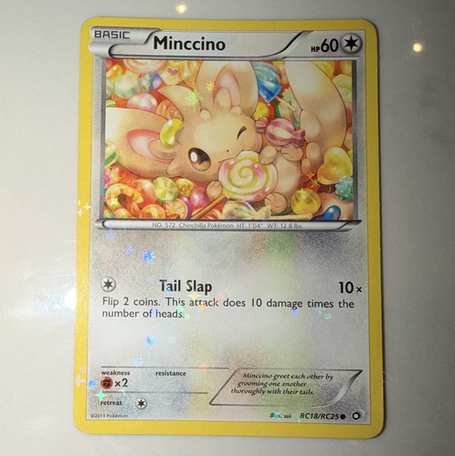 The pokémon company - company, minccino