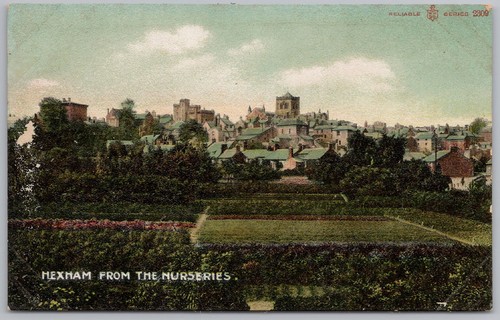 Hexham from the nurseries - hexham,
