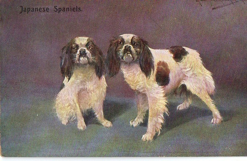 Vintage art postcard - vintage,