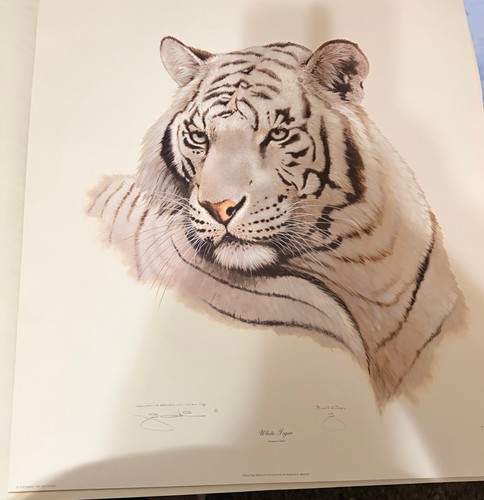 Jim oliver white tiger - white,