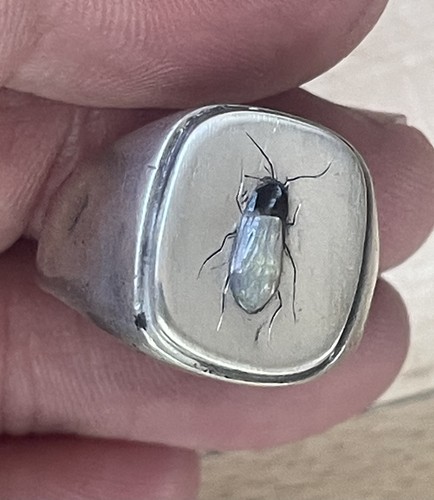 Silver shibayama signet - signet, ring
