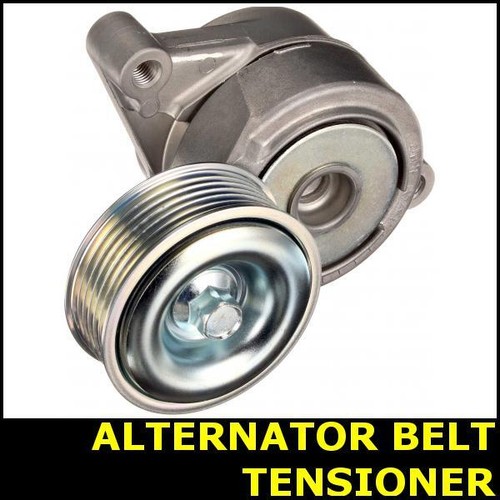 Ribbed belt tensioner - ribbed,