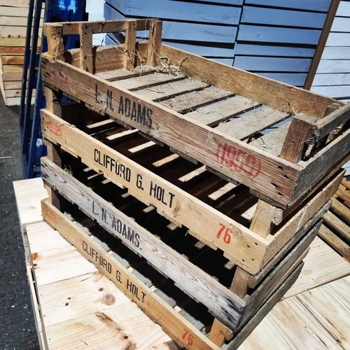 Vintage wooden potato chitting - wooden,