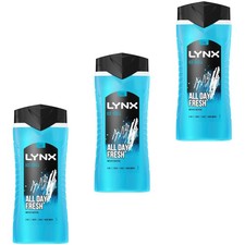 Lynx Ice Chill All Day Fresh