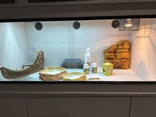 bearded dragon vivarium 4ft Long x 2ft wide x 2ft High used