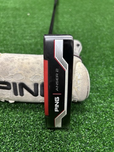 Ping anser 2021 - anser, 2