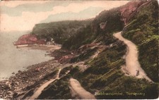 Babbacombe Torquay Postcard -