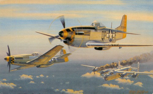 Usaaf 51d mustang - usaaf,