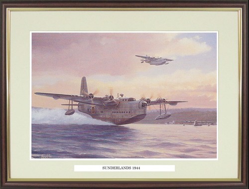 Sunderland flying boat - flying,
