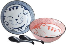 Mino Ware Ramen Bowl Set of 2
