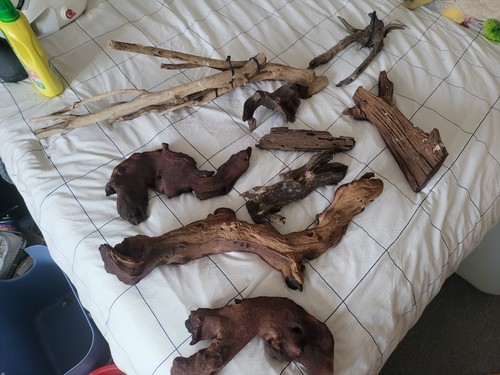 Large collection bogwood - of,