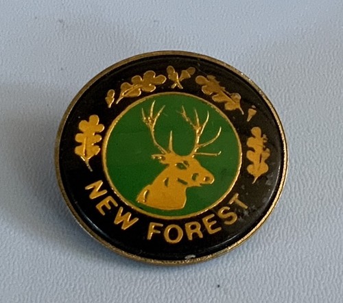 Vintage new forest pin badge - "new, forest"