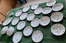 MZ Czechoslovakia Dinner Set With ROSE Floral Pattern 22 pc inc dinner side plat