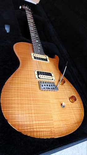 Prs 20th anniv singlecut trem - anniv.,