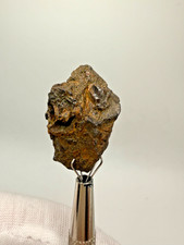 NWA 17923 Large Pallasite