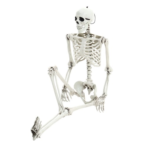Plastic life size human - plastic, bones