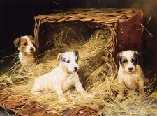 JACK RUSSELL TERRIER CHARMING DOG GREETINGS NOTE CARD LOVELY GROUP OF PUPPIES