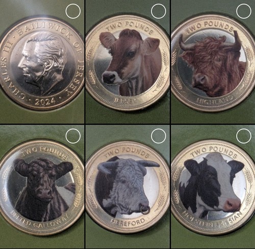 Jersey 2024 coins set - £2,