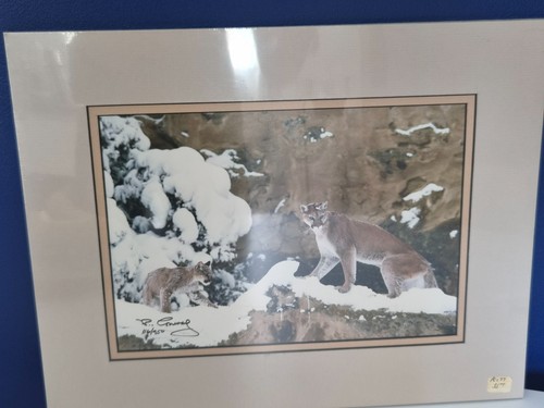 Vintage perry conway signed - vintage,