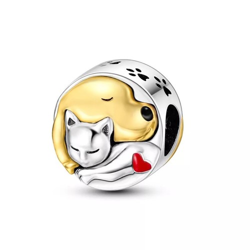 Cat dog lover - lover, charm