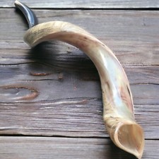 Yemenite Kudu Horn Shofar