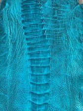 GENUINE OSTRICH LEG SKIN