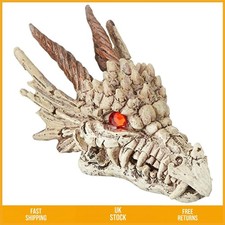 Intricate Dragon Skull Gazer
