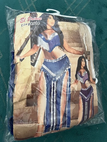 Belly dance suit