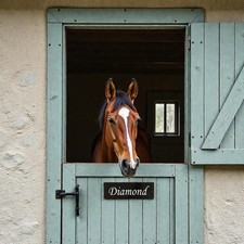 Horse Stable Name Sign