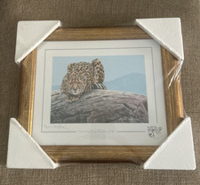 stephen gayford limited