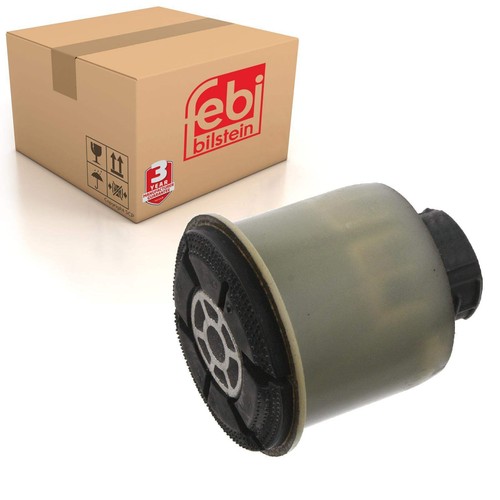 Rear support axle beam mount - rear,