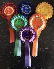 1st-6th 2 tier  horse show