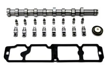 Camshaft, Hydraulic Lifters &