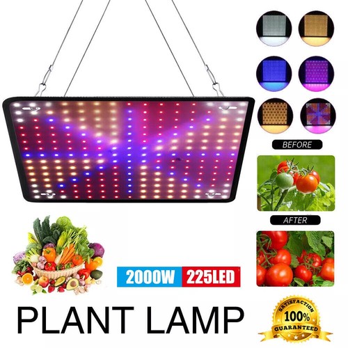 2000w led grow - led,