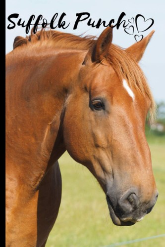 Suffolk punch horse notebook - horse,