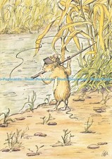 D214913 The Fisher Mouse