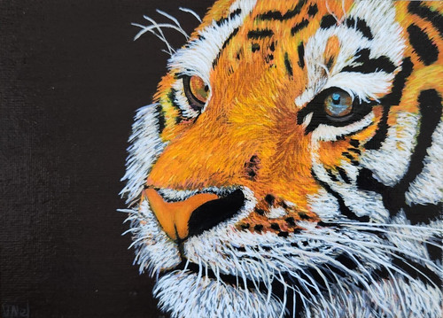Tiger acrylic painting cute - acrylic,